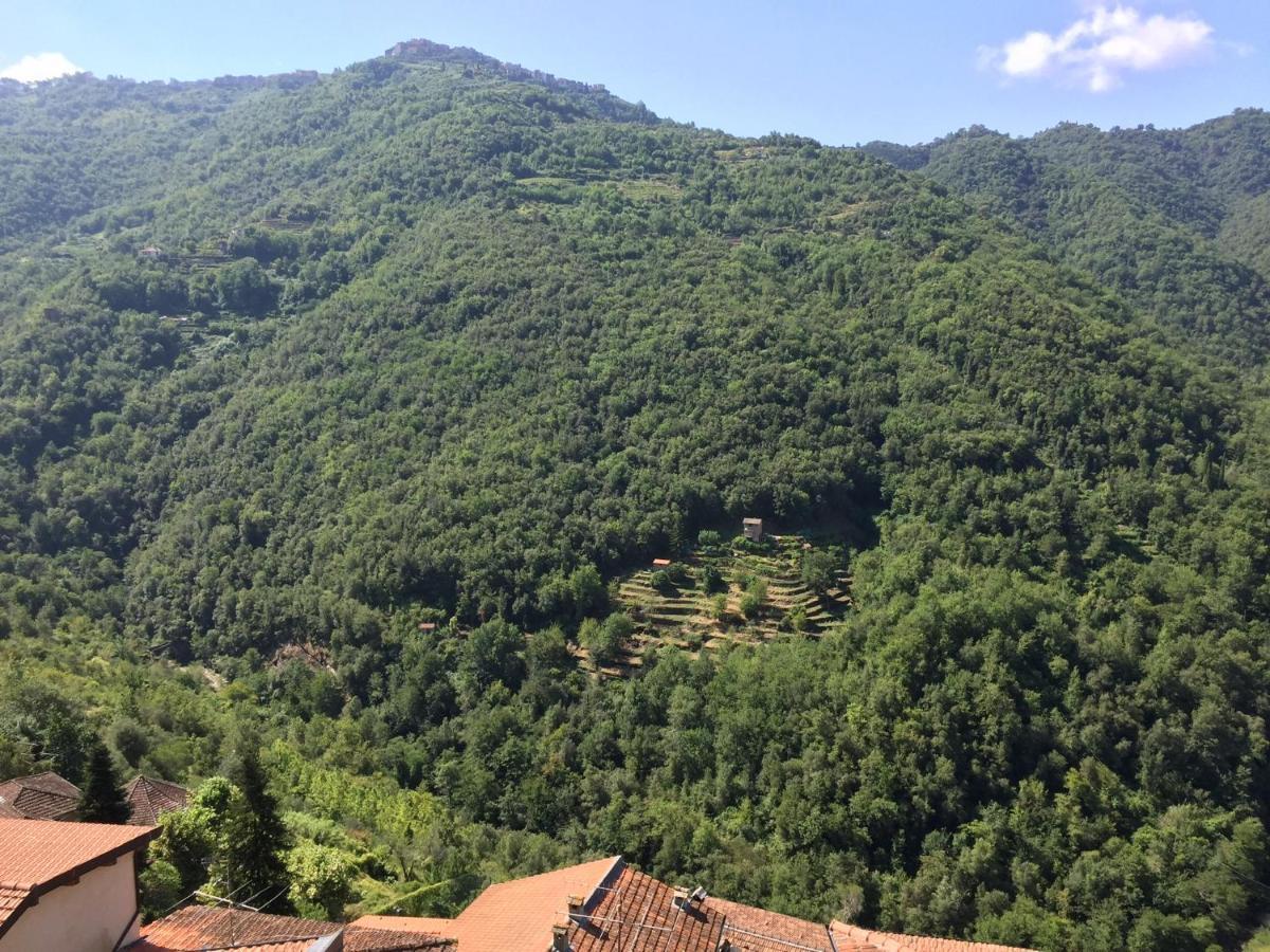 House In The Medieval Village Apricale Kültér fotó