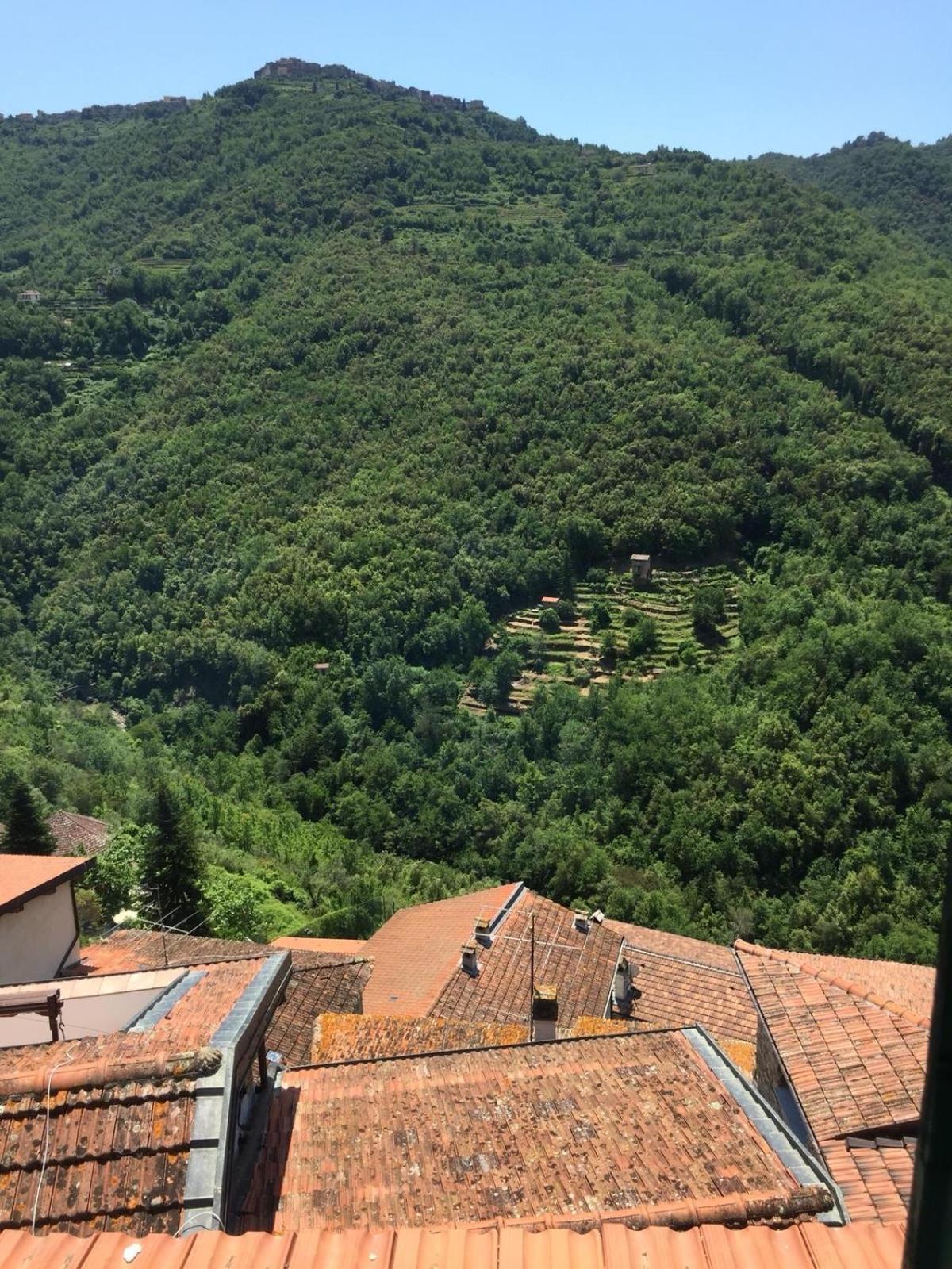 House In The Medieval Village Apricale Kültér fotó